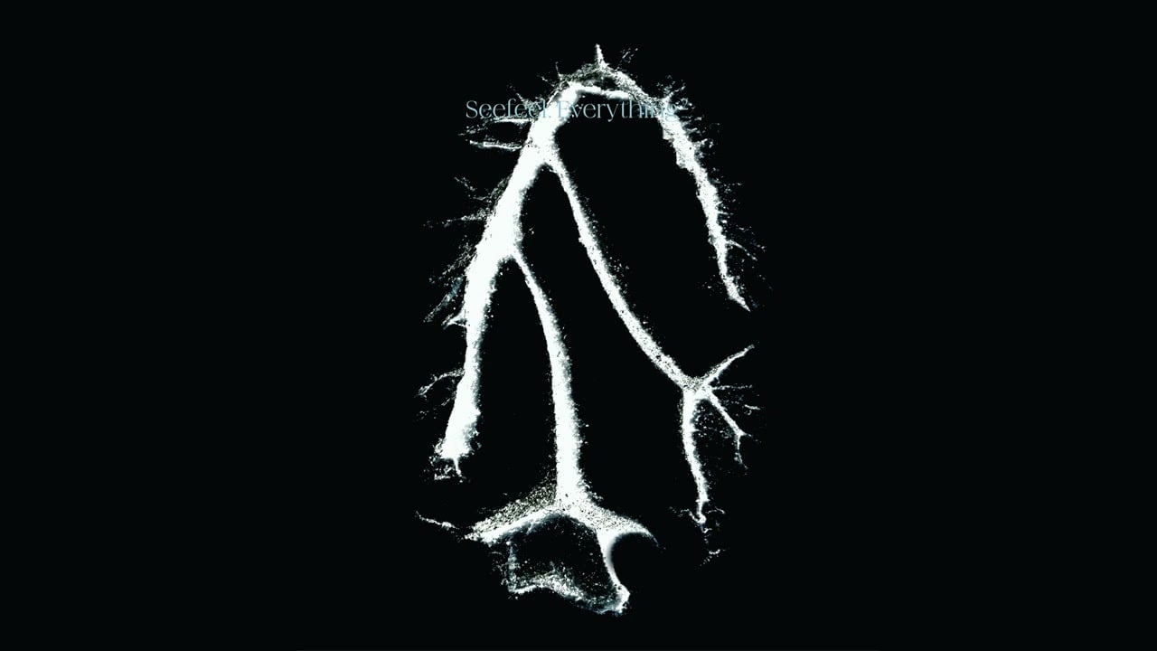 Seefeel - Sky Hooks (Official Audio)