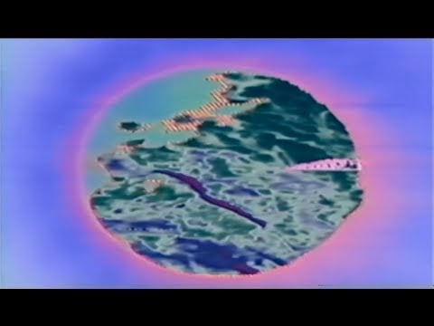 BICEP - FEEL MY BICEP RECORDS TRAILER - FMB002