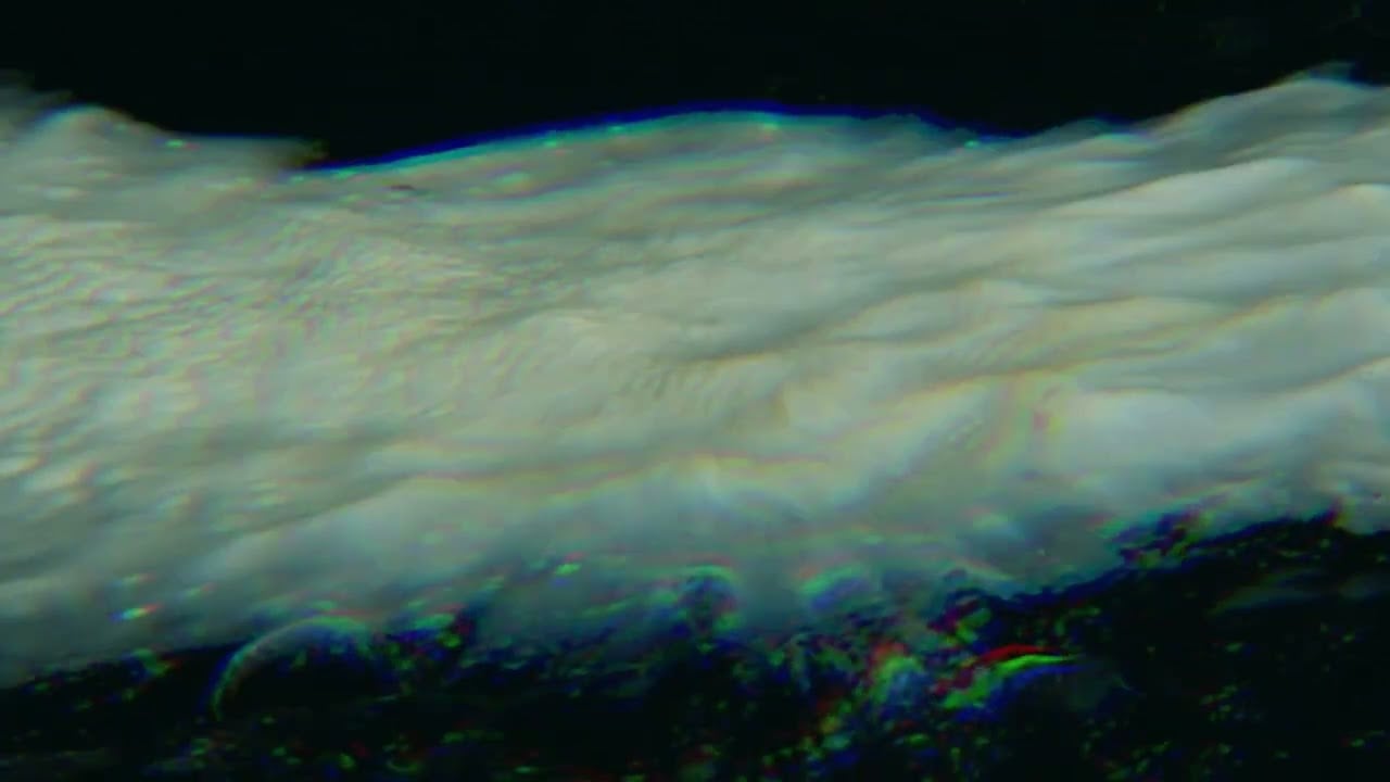 Landless - The Wounded Hussar (official visualiser)