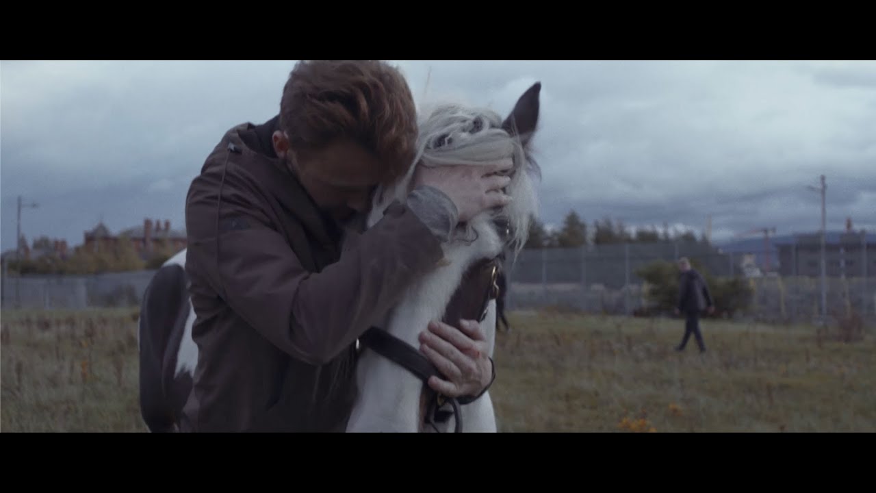 Lilla Vargen - Why Wait (Official Video)