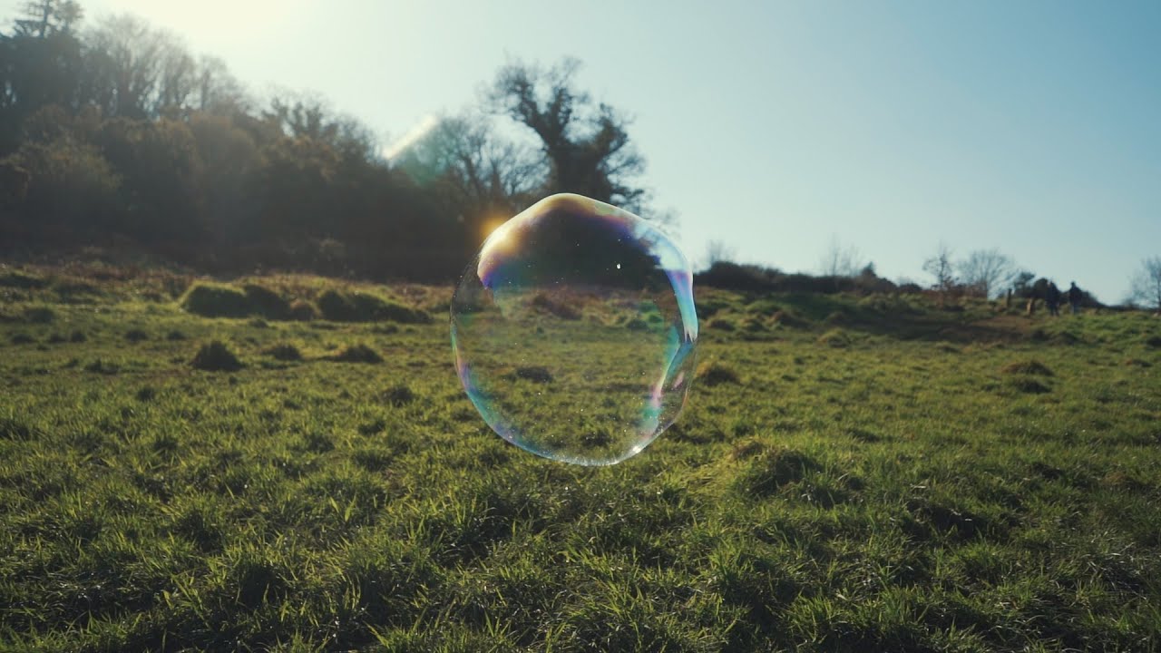 Wyvern Lingo - Only Love Only Light  (Official Video)