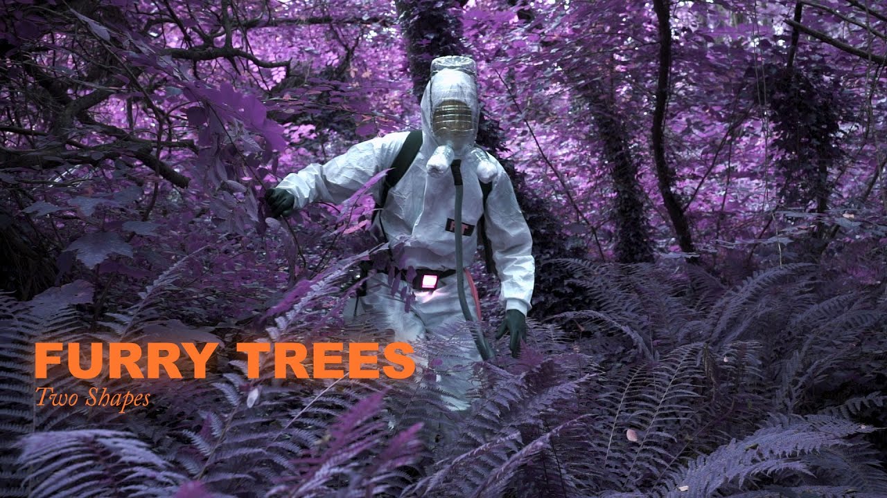 FURRY TREES - TWO SHAPES MUSIC VIDEO