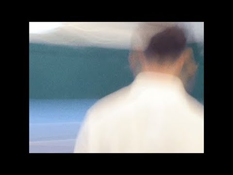 Luka Palm - San Pelly
