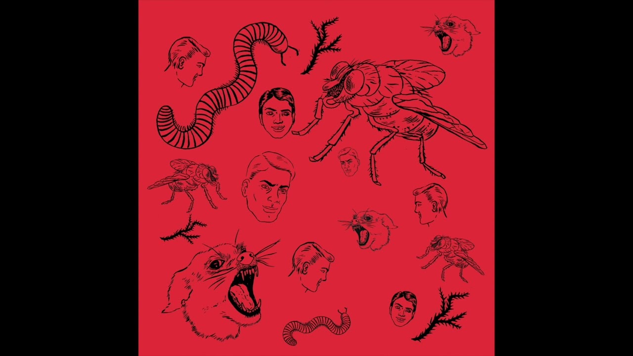 Bush Tetras - "Things I Put Together"