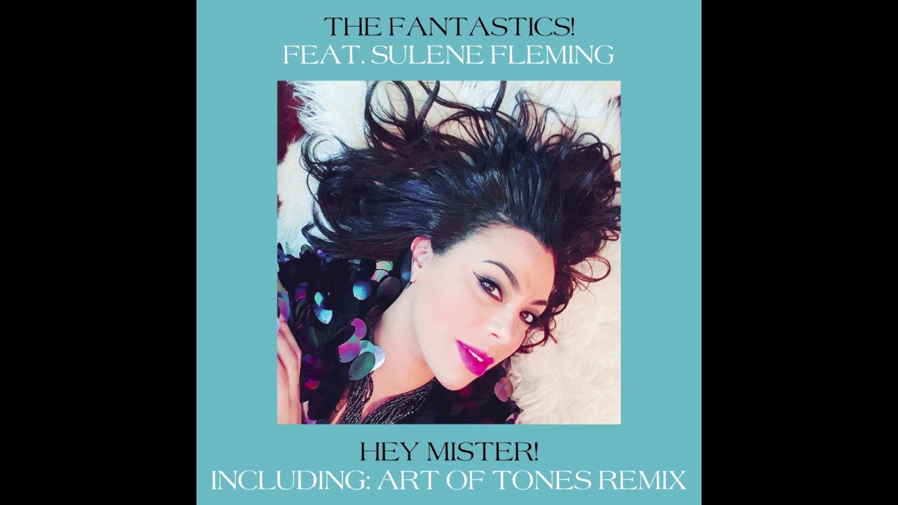 The Fantastics!  - Hey Mister! (Art of Tones Extended Remix)