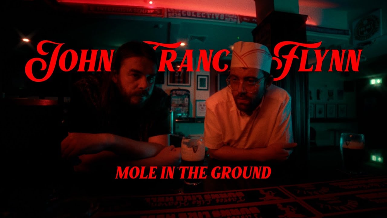 John Francis Flynn - Mole In The Ground