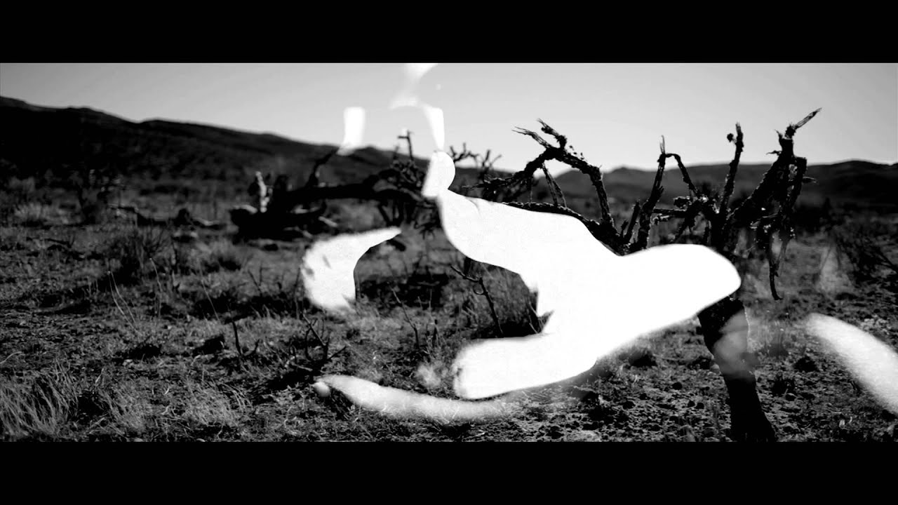 Kill Krinkle Club - The Heart it Soaks