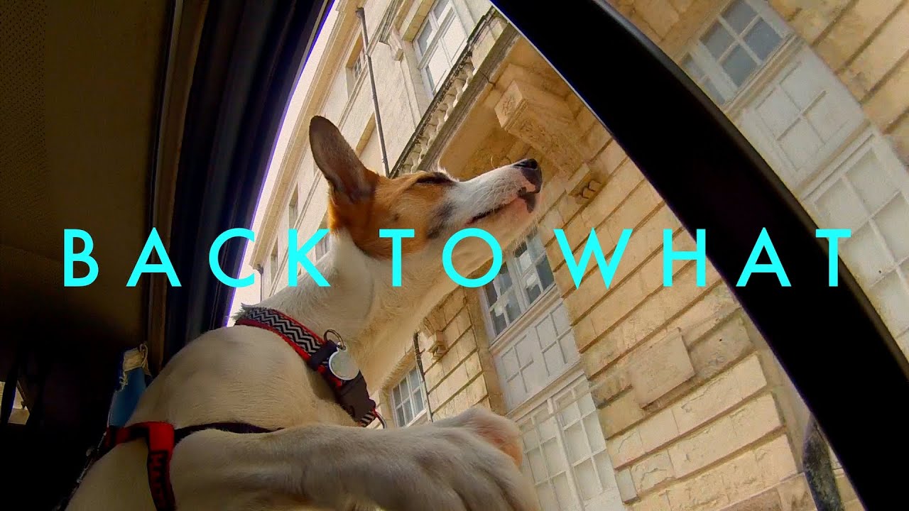 Neosupervital - Back To What (2023 Mix) (Official Video)
