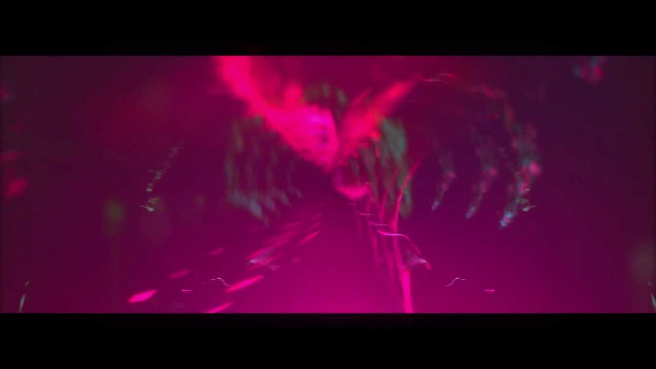 Darling - Echoes [Official Music Video]