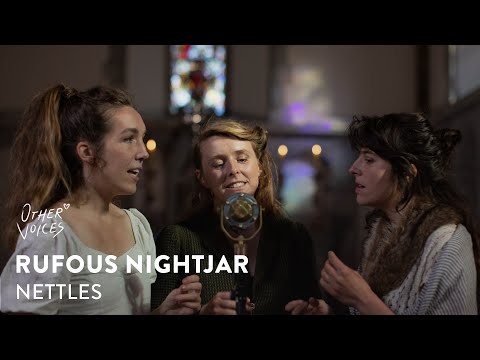 Rufous Nightjar - Nettles | Live at Other Voices x UCC (2022)