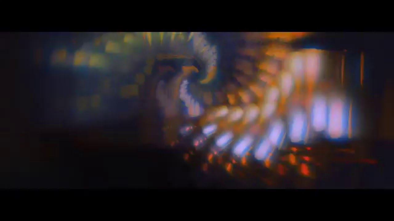Young Wonder // Birth (Official Video)
