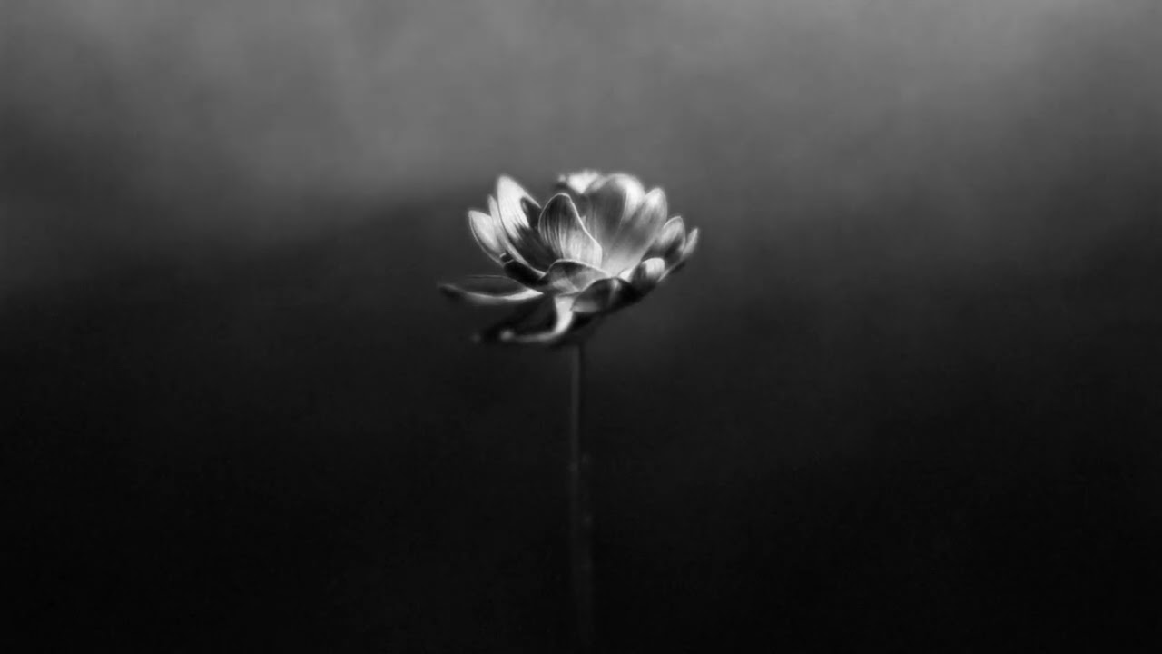 Little Simz - Lonely (Official Audio)