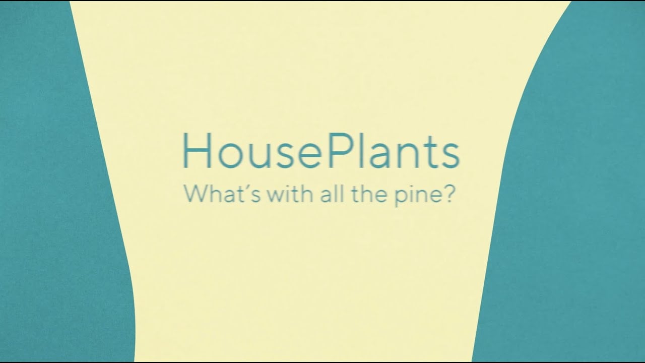 HousePlants - What's With All The Pine? (Official Audio)