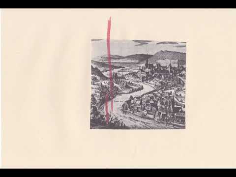 Salmon Cat - Voicemail From An Ant