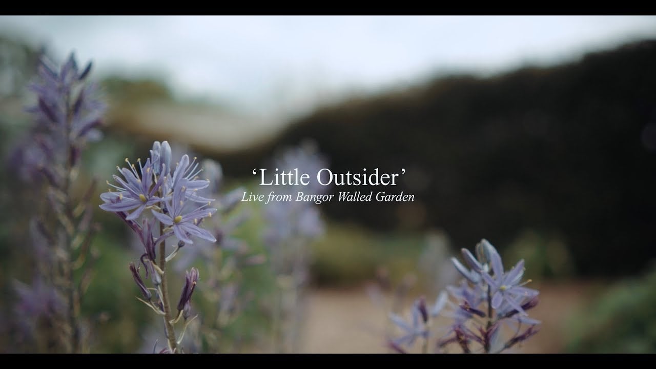 DAVID C CLEMENTS - LITTLE OUTSIDER - LIVE IN BANGOR CASTLE WALLED GARDEN