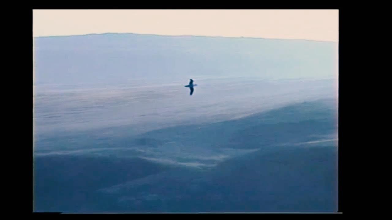 One Hill Further by Oisin Leech [Official Video] feat. Steve Gunn, Tony Garnier and Róisín McGrory