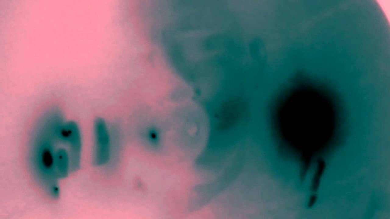 Mica Levi - Love