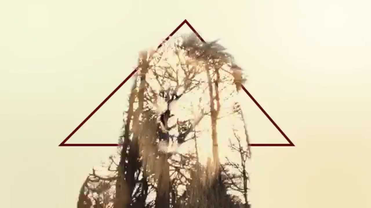 Hawklion - Africa (Pressure EP Official Video)