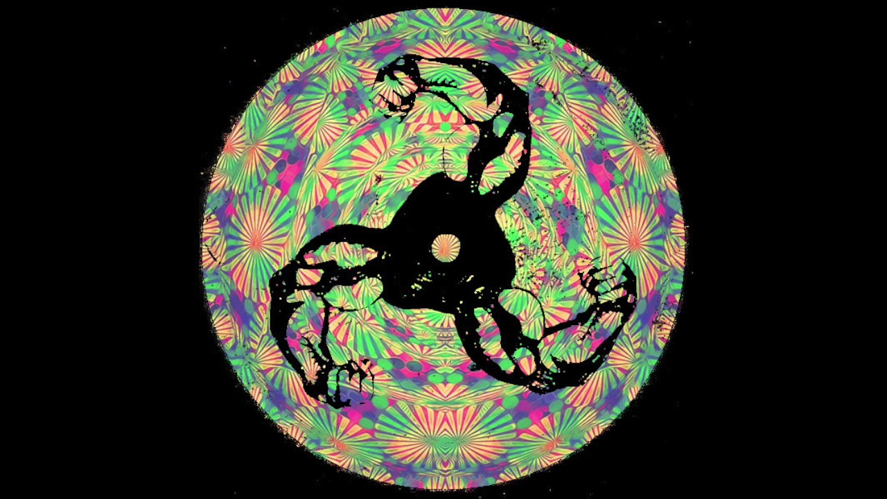 BRASSICA | WRYDERS (FMB009)