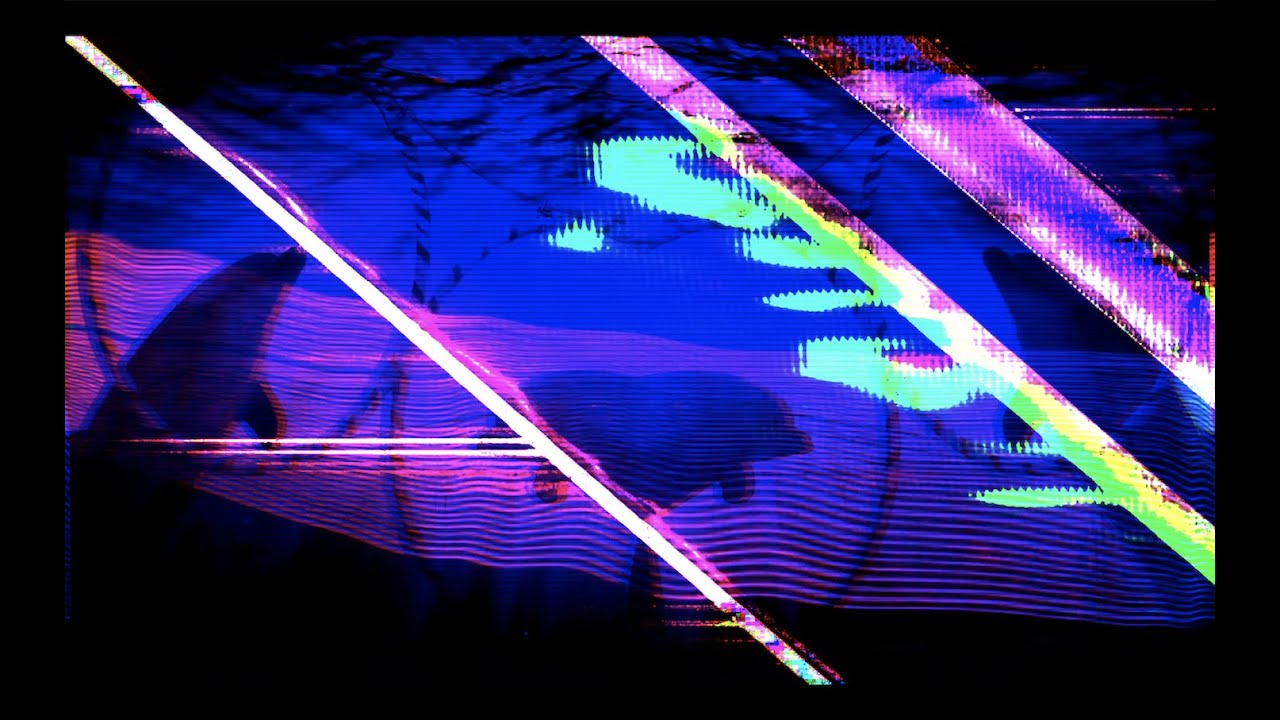 Das Koolies - It's All About The Dolphins