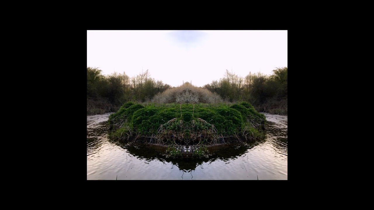 Ode to the Ward