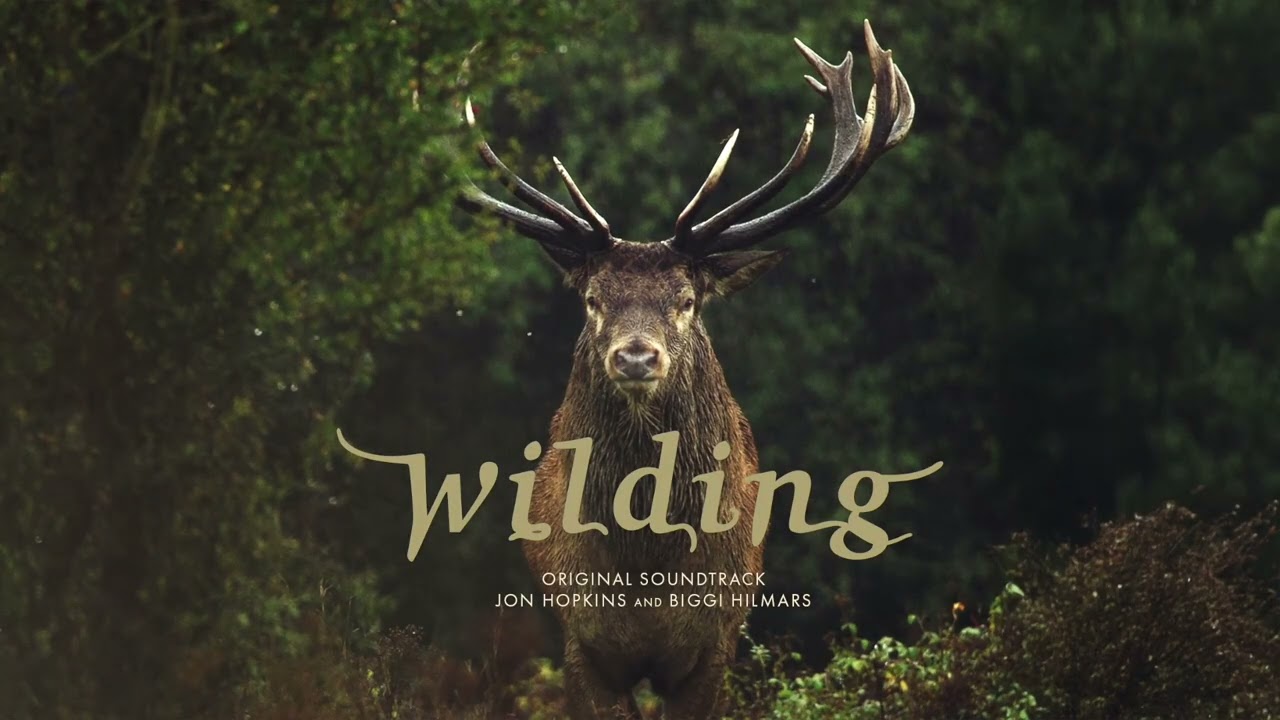 Jon Hopkins - Wilding Theme (Official Audio)