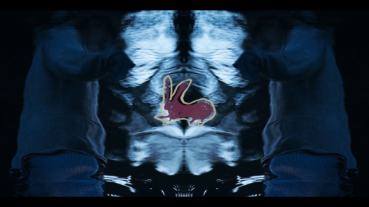 1000 Rabbits - Virgin Soil