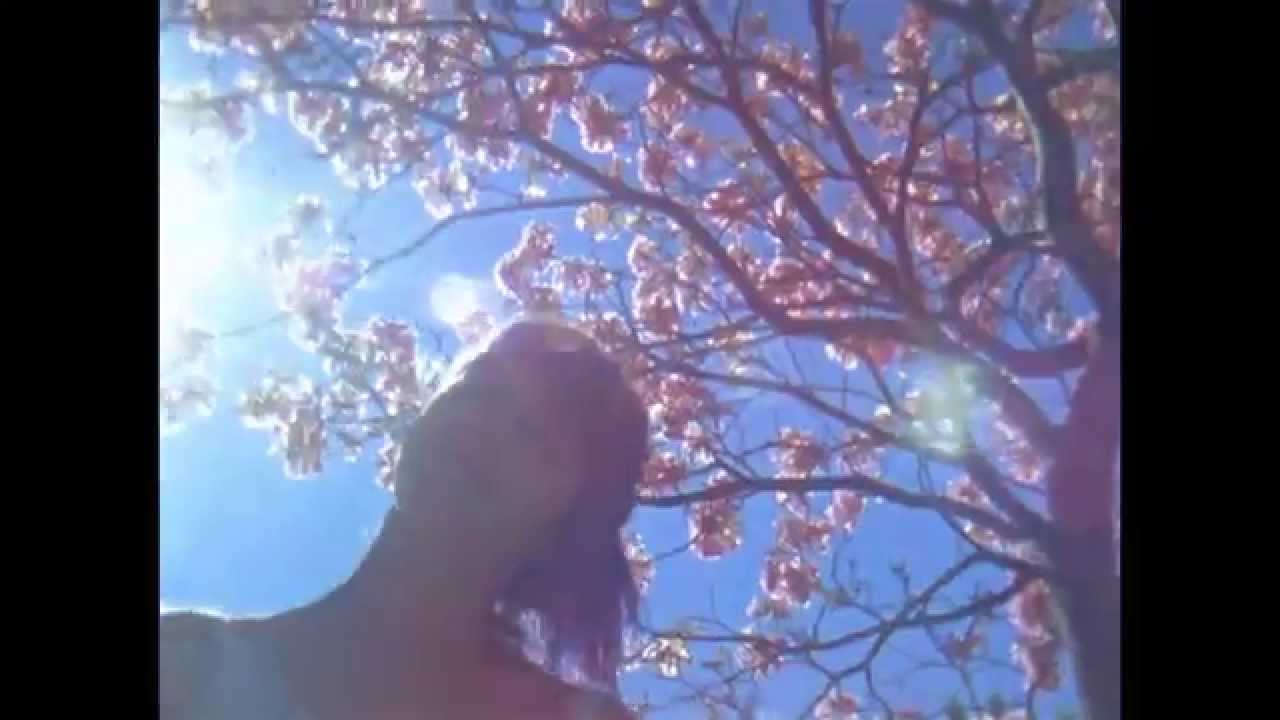 The Go! Team - What D'You Say?