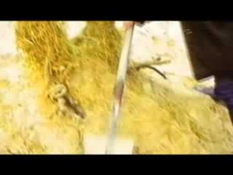 Jape - I Was A Man