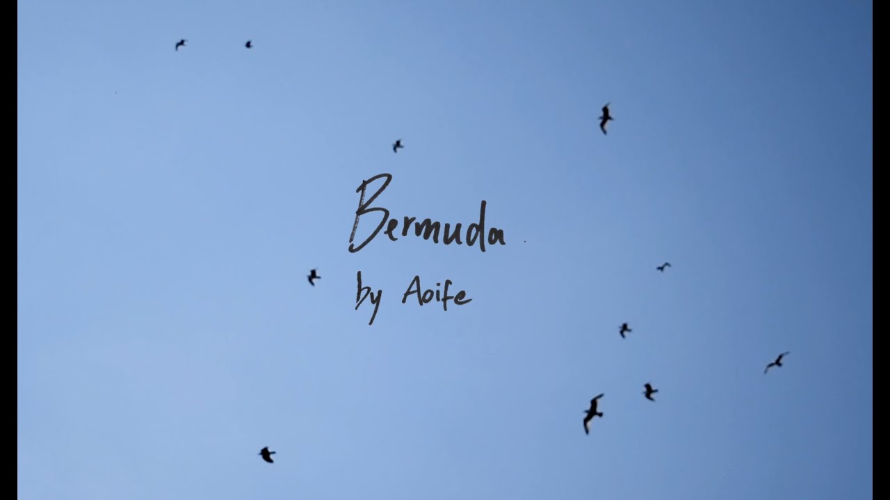 'Bermuda' by Aoife