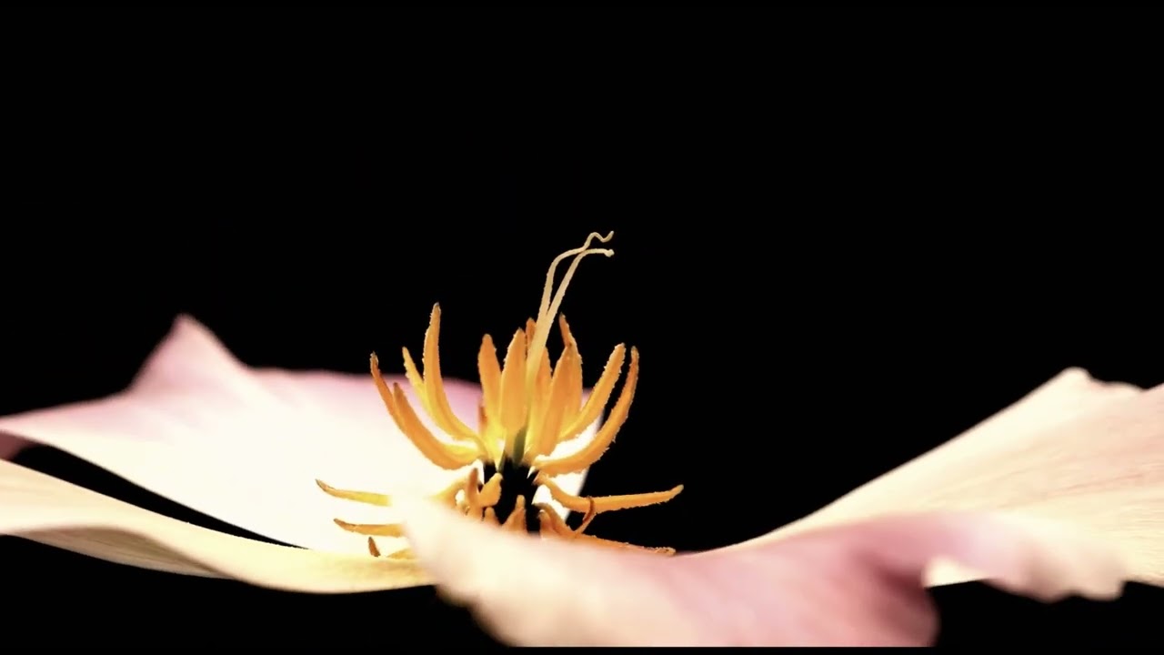 Badlands - 'My Time Will Come Again (Jape Remix)'