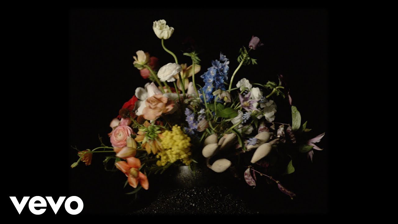 David Kitt - Cling Film (Official Music Video)