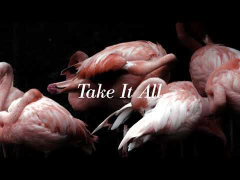 Iceage - Take It All