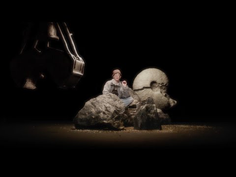 Iglooghost - Coral Mimic (Official Video)