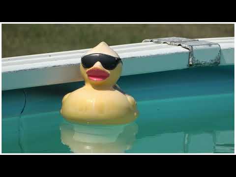 Andy Shauf - "Spanish On The Beach" (Lyric Video)