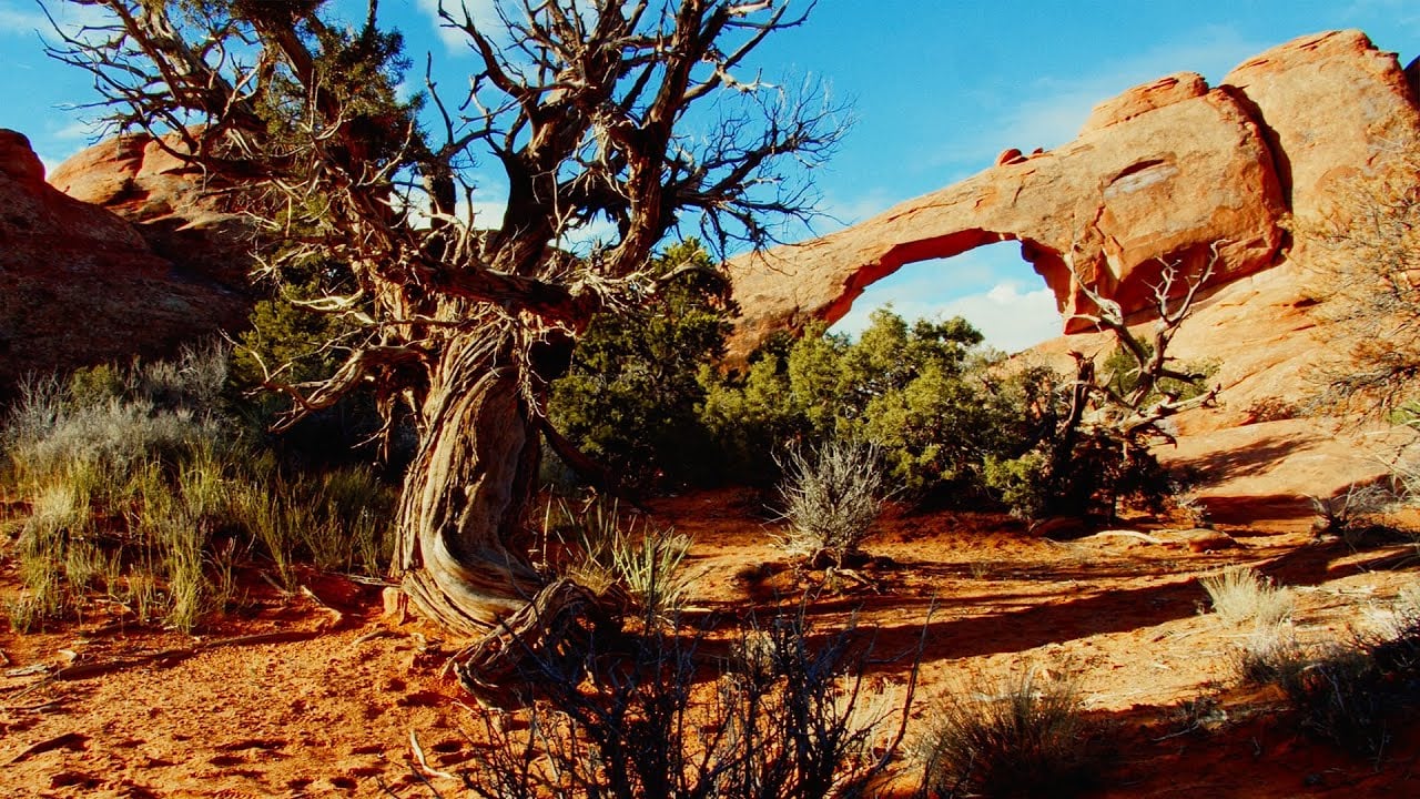 Brawni's Sonic Explorations // Arches National Park