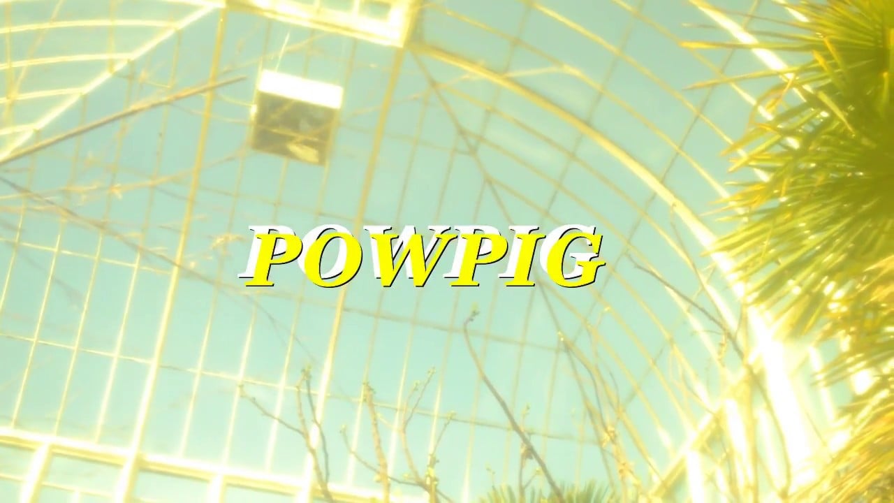 PowPig: Birds Of Paradise