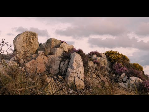 Lankum - The Wild Rover (Official Video)