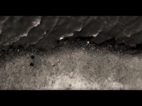 The Unthanks - The Bay Of Fundy (Official Video)