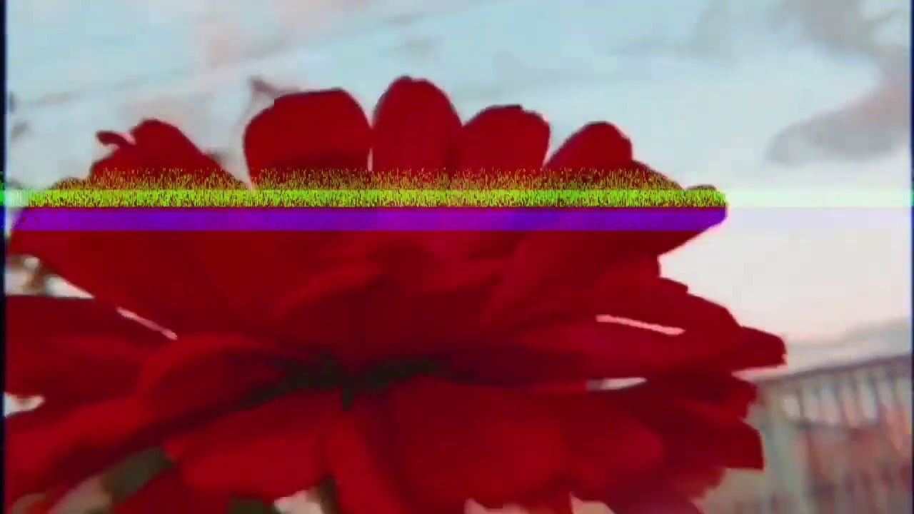 petals (Uwmami feat. ØMEGA)