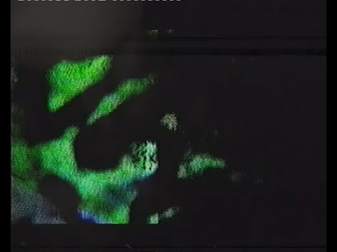 Karen Gwyer - Prophase Metaphase Anaphase Telophase