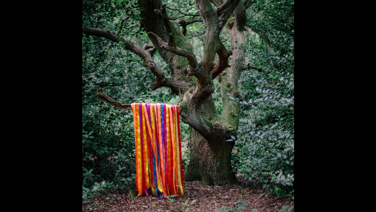 James Holden & The Animal Spirits - Each Moment Like The First