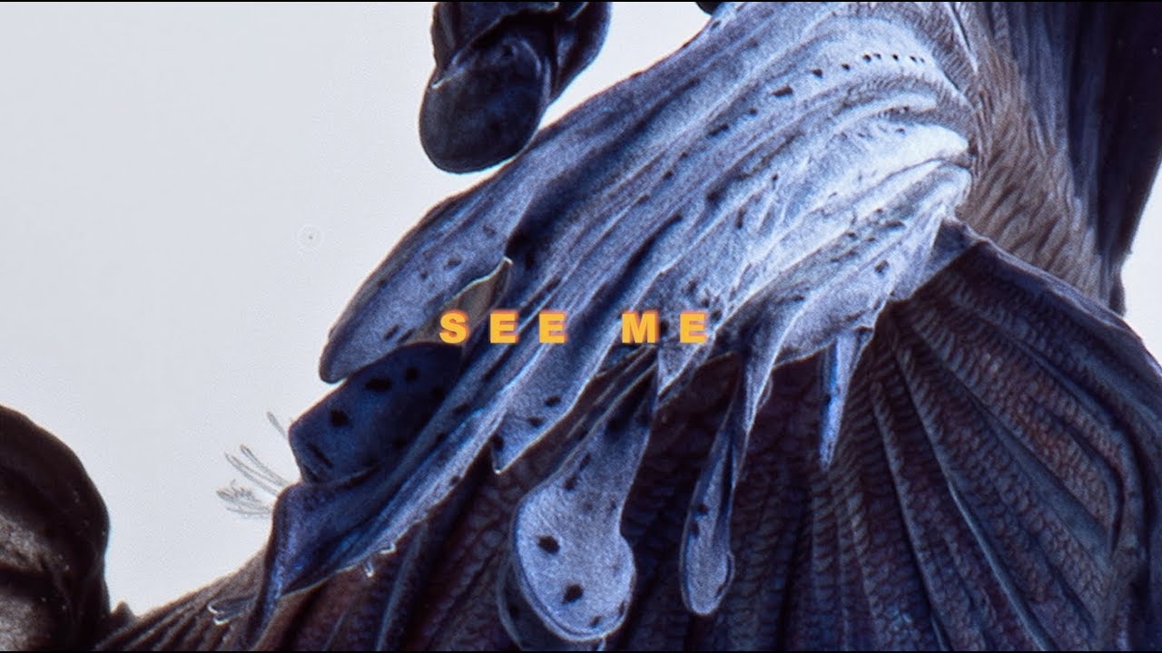 Talos - See Me (Lyric Video)