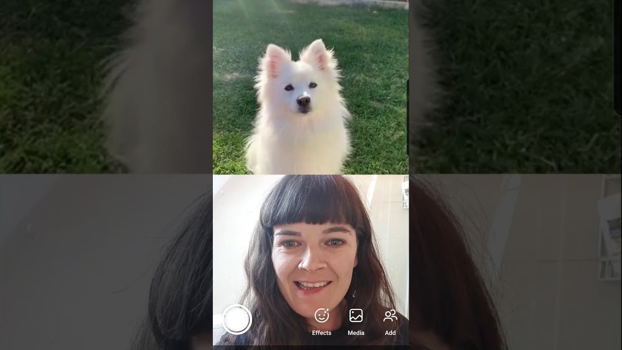 Dott - Extra Introvert (Vertical Video)