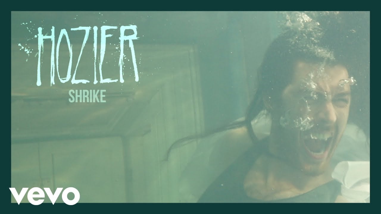 Hozier - Shrike (Official Audio)