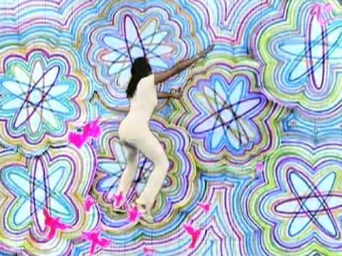 The Go! Team - Ladyflash - HQ