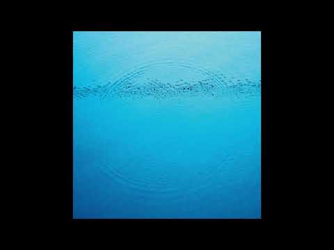 CARIBOU - Ravi