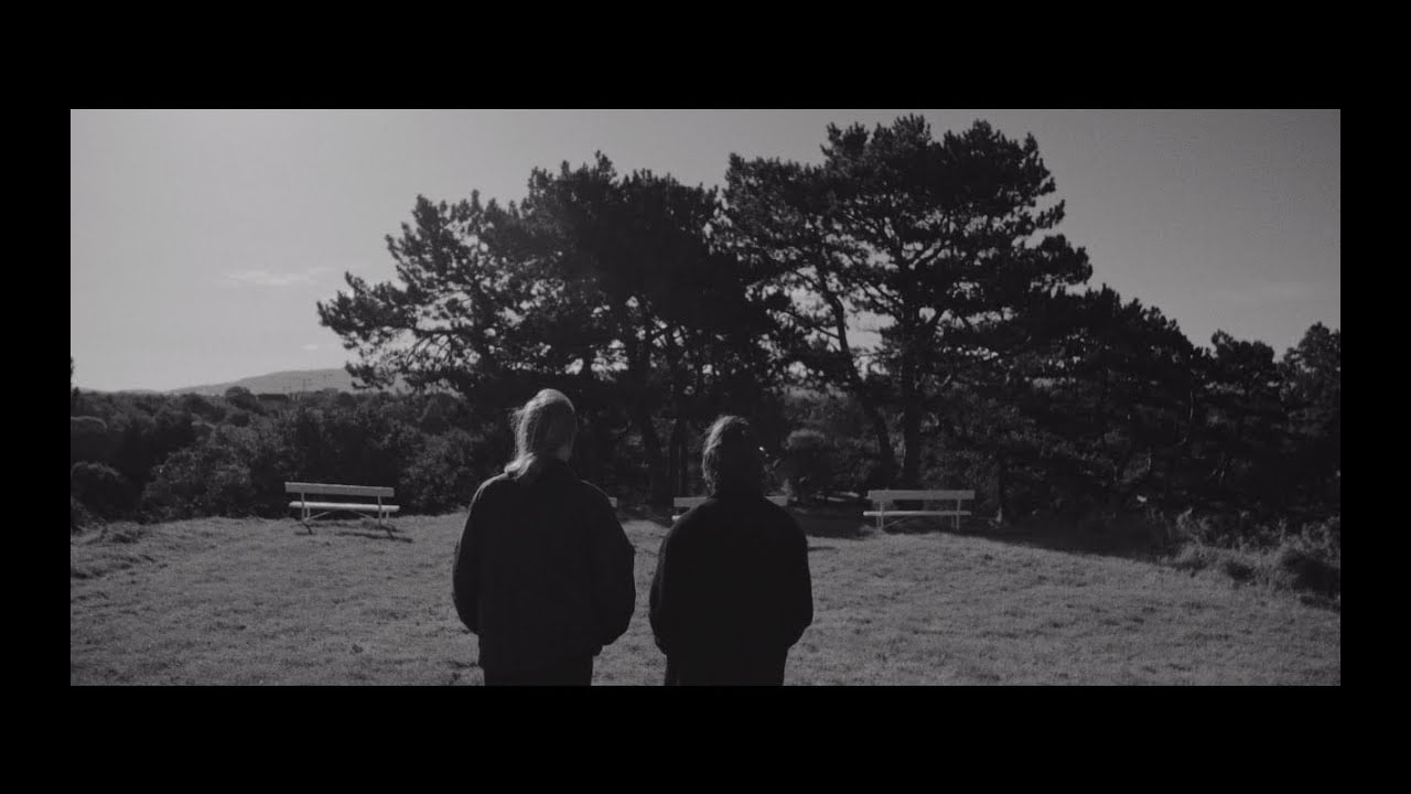 R.F. Chaney - Sunspots