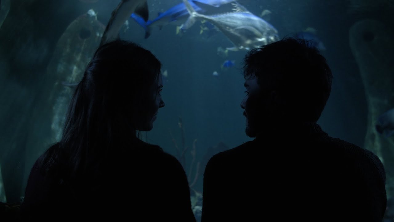 SPIES - Sea Creature