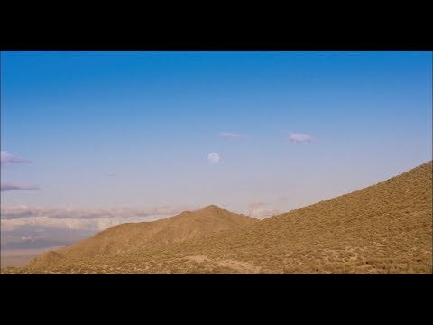 Florist - M (Official Music Video)